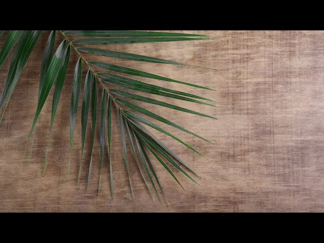 Palm Sunday/Good Friday/Easter 2021