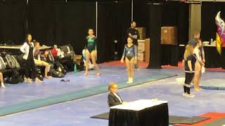 Nina Lattuca - Aerial Gymnastics - L9 Vault 2019 Region 5 Regional Championship