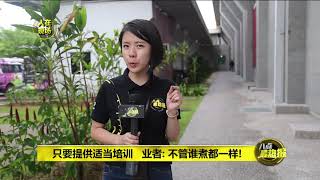 Prime Talk 八点最热报 23/06/18 - 外劳禁掌厨 业者:不管谁煮都一样!