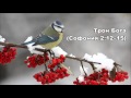 07.12.2015 Вера, умеющая различать (Притчи 25:14–28) 07.12.2015 Вера, умеющая различать (Притчи 25:14–28)