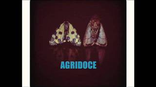 Watch Agridoce Say video
