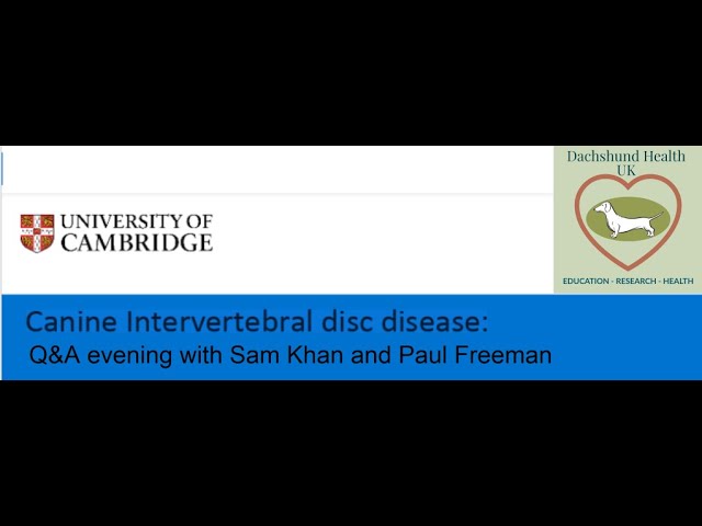Cambridge Vet School IVDD Q&A June 2021
