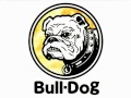 ブルドッグ：Bull-Dog - フォーリーブス