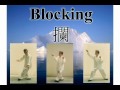發勁发劲Yizungyue