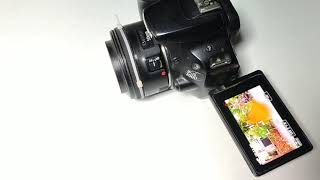 Canon 200D Dual Pixel Autofocus Test With 50Mm F1.8 Lens