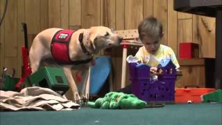 Who S That Dog Meet Dot Pbs Kids Medium