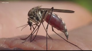 Verify Are Mosquitoes Attracted To A Certain Blood Type?