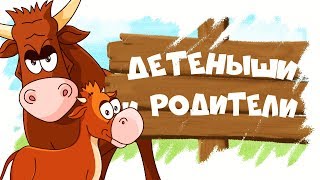 Домашние Животные И Их Детеныши! Развивающие Мультики Для Детей!