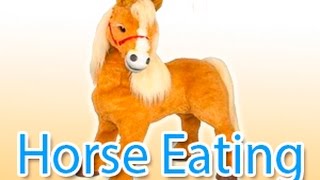 Niño De 2 Años Alimentando Su Caballo