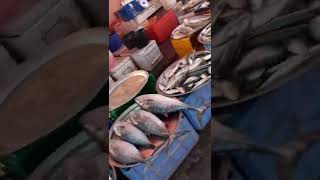 Bahrain Fish Market Hidd Explore World