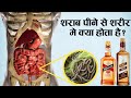 शराब पीने से शरीर पर क्या असर पड़ता है Is Alcohol Really Harmful for our Body