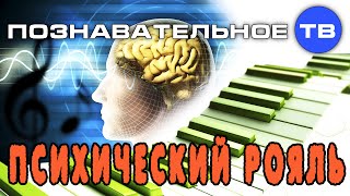 Психический рояль (Познавательное ТВ, Михаил Величко)