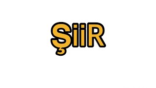 11. Sinif Türk Di̇li̇ Ve Edebi̇yati - Şi̇i̇r Üni̇tesi̇