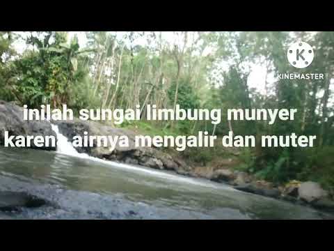 jalan jalan ke bondowoso melihat kebun,tanaman jagung, sengon,dan padi, liat sungai embung munyer😊👍