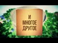 Lp. СумеречноRPG-шные похождения #22 (МЫ БОГАТЫ!)