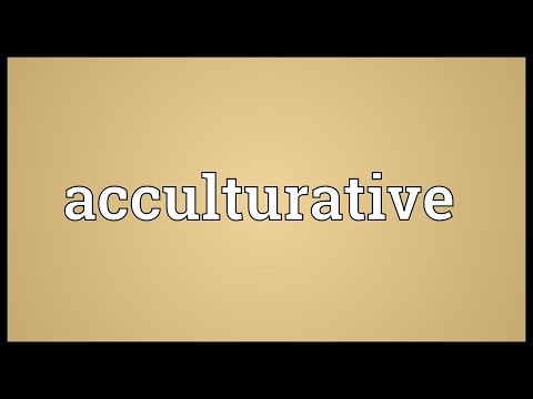 Header of Acculturative