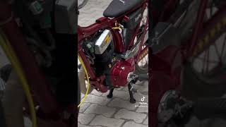 Cg 300 Motor