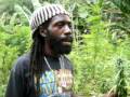 marihuana