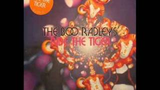 Watch Boo Radleys Ride The Tiger for Rebecca video