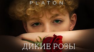 «Дикие Розы» Концерт В Санкт-Петербурге 8 Марта 2024