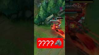 Warwick Animals