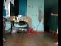 Como Aprender A Luta Karat images Como Aprender A Luta Karat