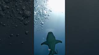 This Creature Never Dies Unless Eaten