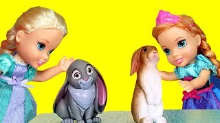 PETS ! Elsa and Anna toddlers at school - spelling - Barbie is the teacher
