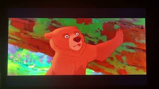 Opening To The Lion King 2003 Special Editionplatinum Edition Dvd Disc 1, 60Fps