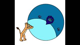 Lion King Inflation Compilation