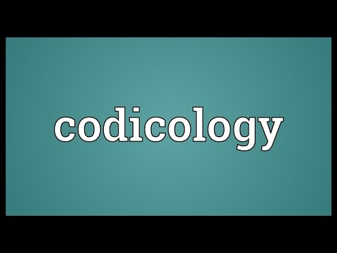 Header of codicology