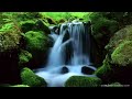 Stream