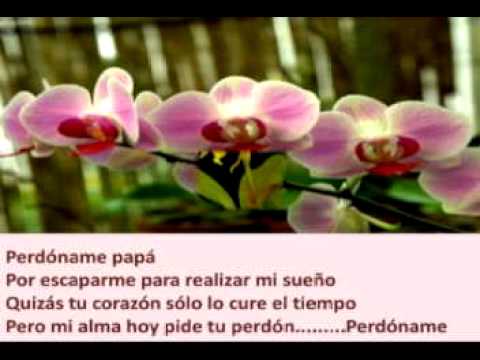 Perdóname papá