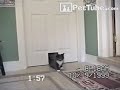 pettube