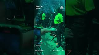 Billie Eilish Violently Pulled Into Crowd At Concert