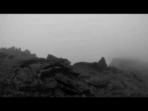 Wray Video