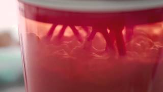Tupperware - Speedy Chef
