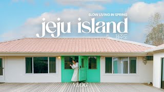 One Week Spring Trip To Jeju Island And A Day Trip To Gapado Island