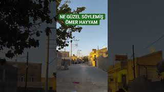 Ne Güzel Söylemiş Ömer Hayyam