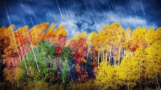 Sleep To Rain Wind White Noise 10 Hours Sleep To Rain Wind White Noise 10 Hours