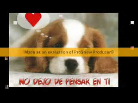 INTOCABLE DONDE QUIERA QUE ESTES intocable donde quiera que estes: