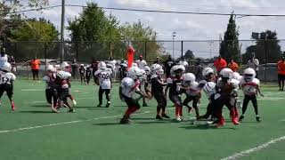 _T-3teOdegg Video Image