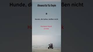 100 Almanca Deyim Ve Anlamları Almanca Öğrenenler İçin En Faydalı İfadeler