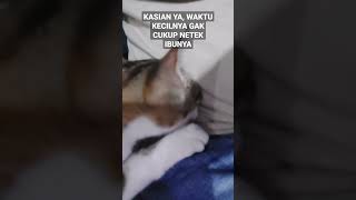 Menetek Setelah Remaja, Sejak Kecil Kurang Kasih Sayang Ibu