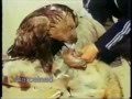 AGUILA CAZANDO LOBOS