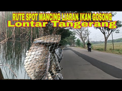ROUTE FOR FISHING SPOT FOR GOSONG WILD NILE FISH #cacangfishing #vlog ROUTE FOR FISHING SPOT FOR GOSONG WILD NILE FISH #cacangfishing #vlog