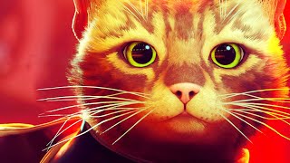 Bi̇r Kedi̇ni̇n Hayatina Hoş Geldi̇ni̇z - Stray Türkçe Bölüm 1