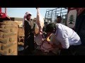Syrian Refugees: Eid al Adha Celebrations In Lebanon