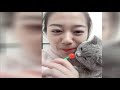 funny cats - drôle de chats -قطط مضحكه