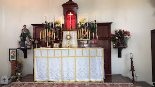 Exposition and Benediction of the Blessed Sacrament Wednesday 21st October 2020 at St Anne’s
